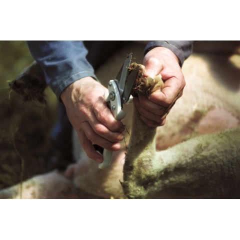 Cisaille onglons mouton 2