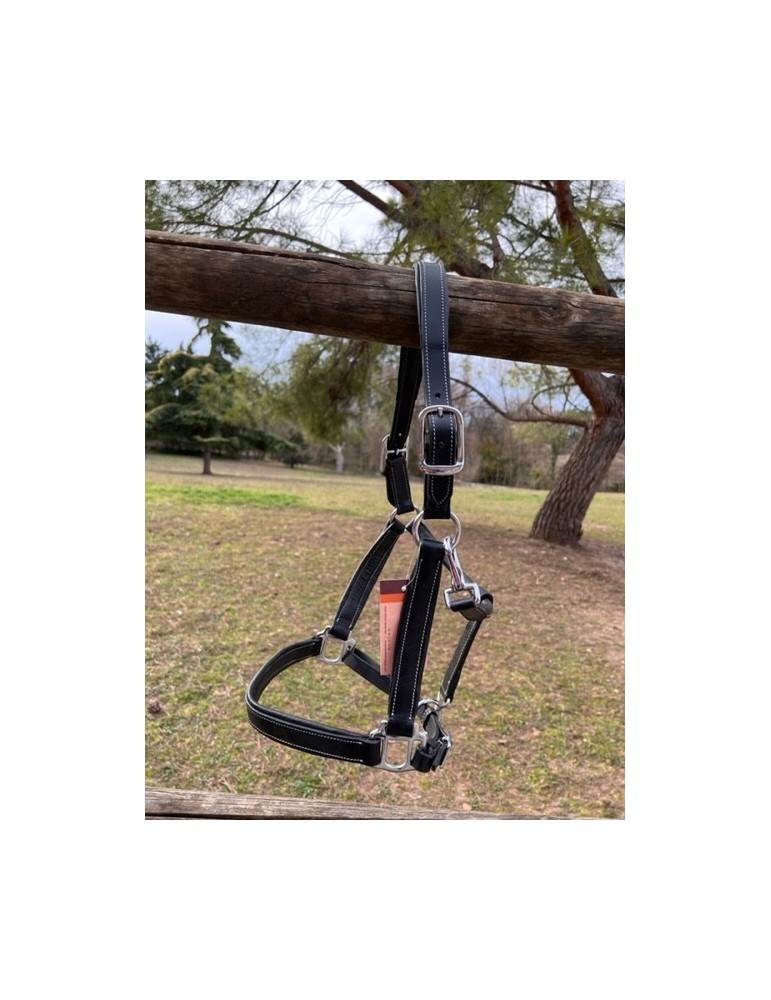 Licol en cuir doublé Large SB