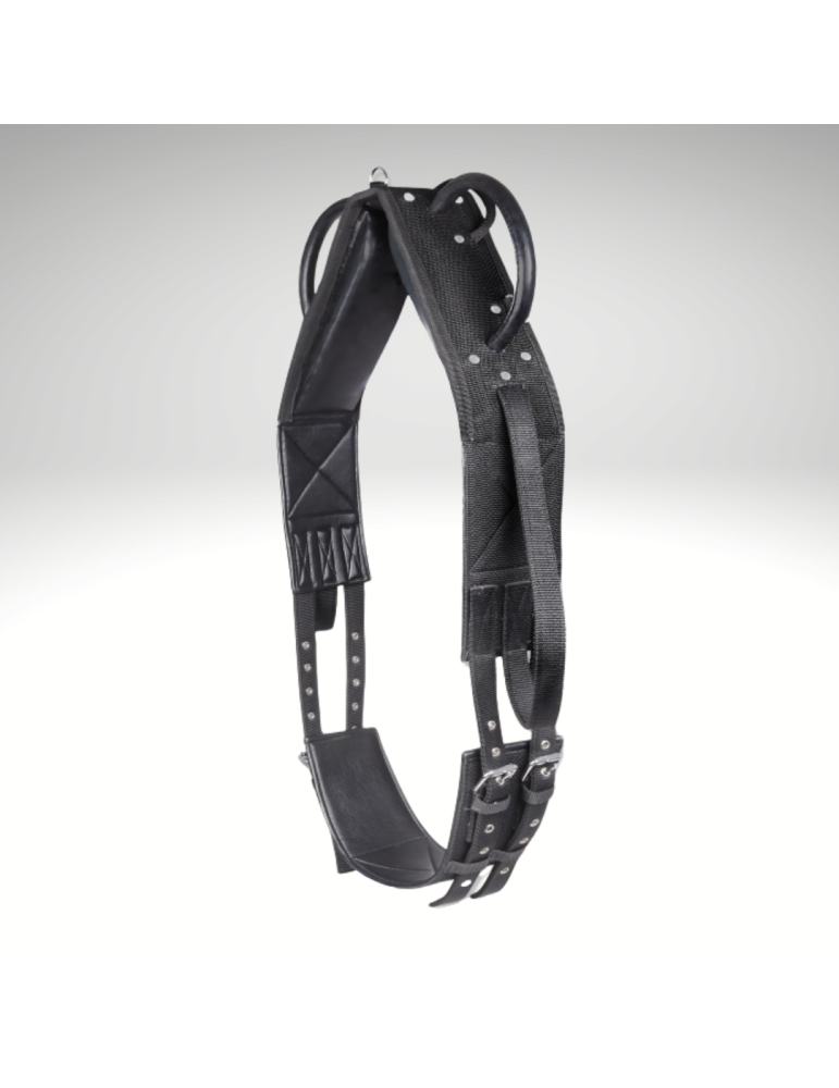 Surfaix voltige - WALDHAUSEN