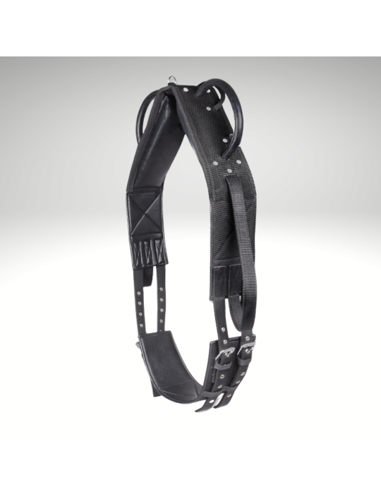 Surfaix voltige - WALDHAUSEN