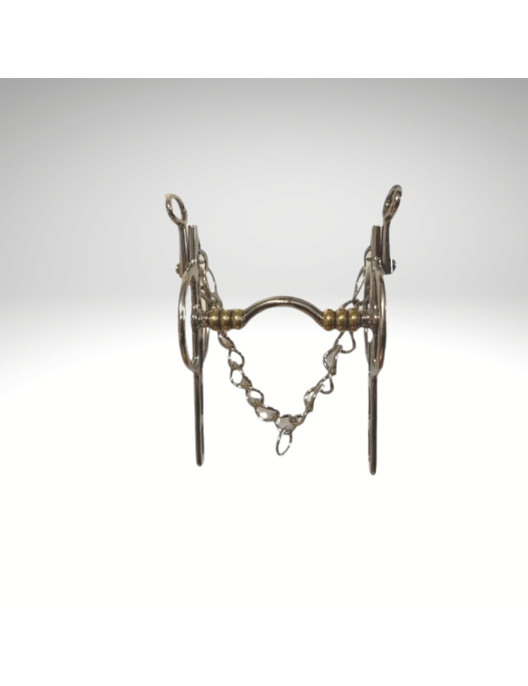 Liverpool tulipes mobiles passage de langue à rouleaux