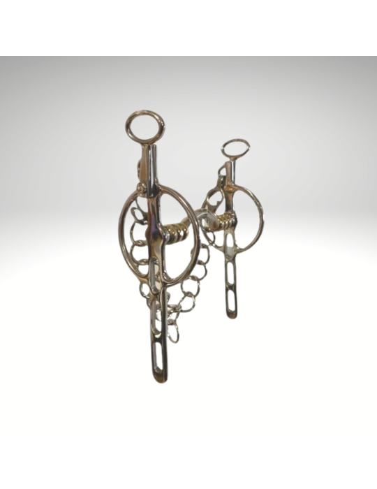 Liverpool tulipes mobiles passage de langue à rouleaux