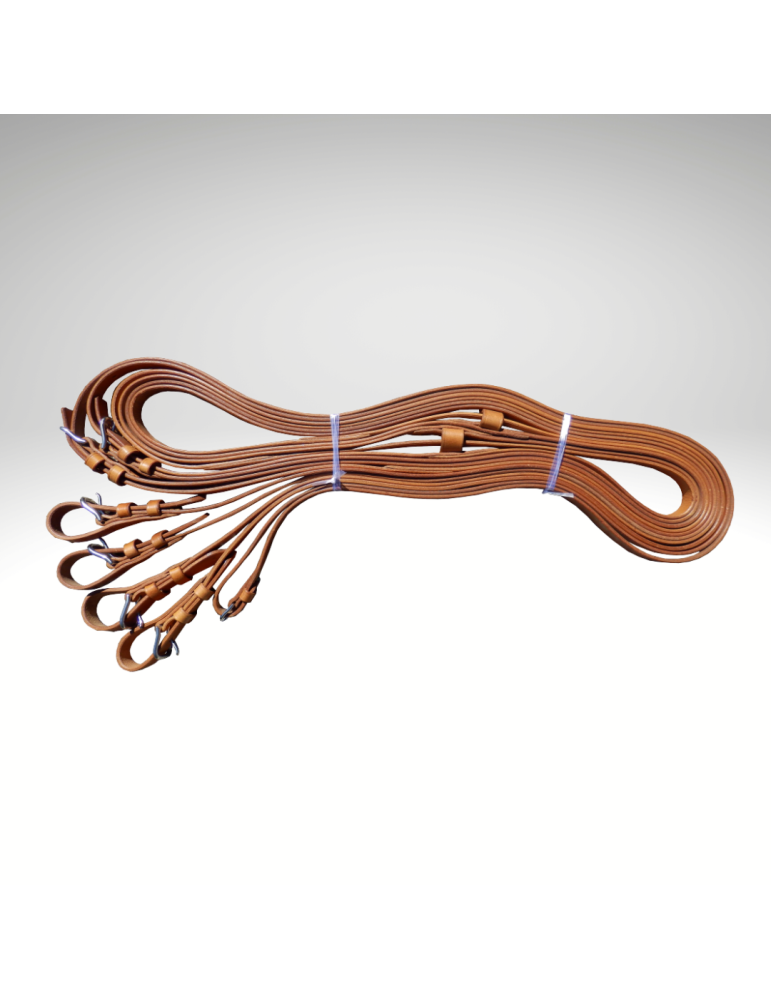 Guides cuir en paire