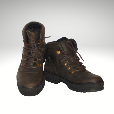 Chaussures Falcon SB 2