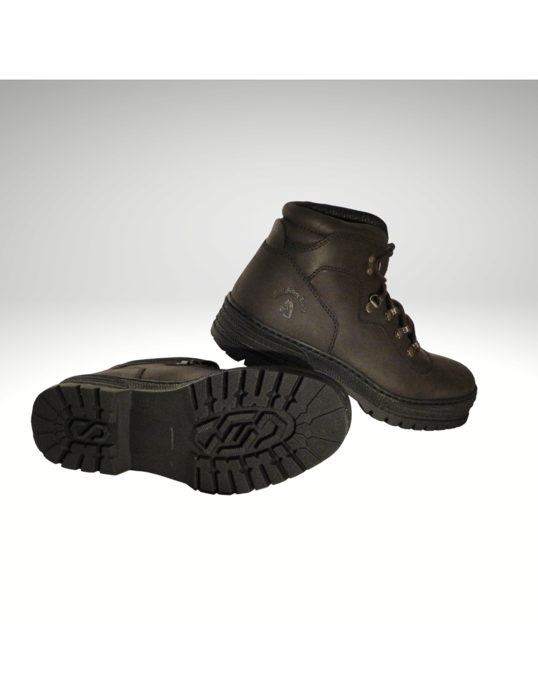 Chaussures Falcon SB