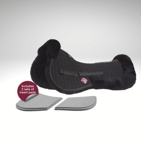 Amortisseur mouton + calles 2