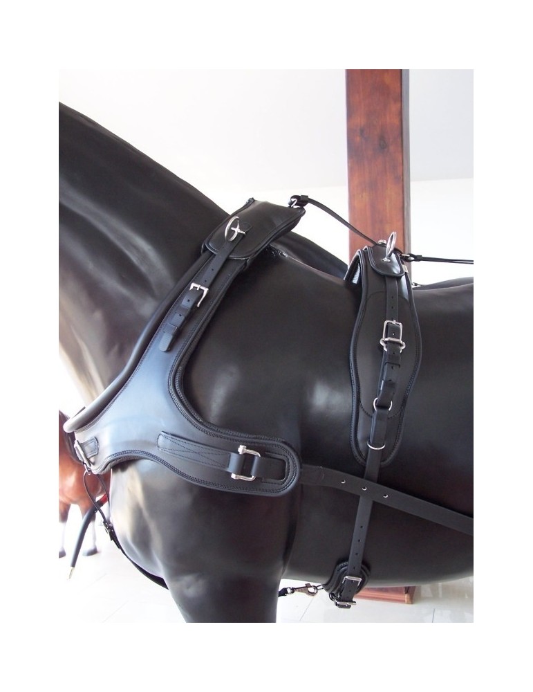 Harnais biothane trait - SB