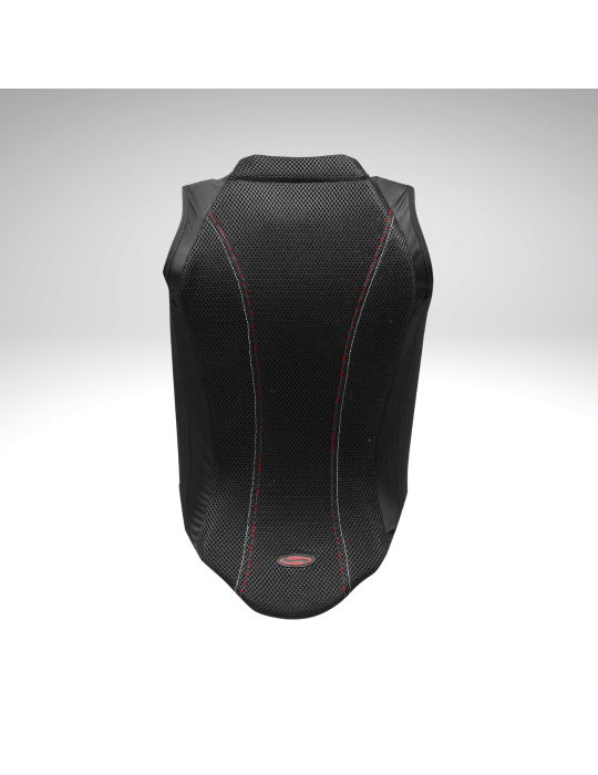 Protection dorsale P07 WALDAUSEN