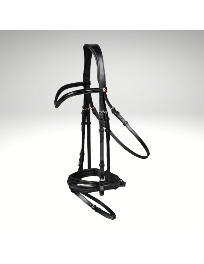 Bridon Blackshine WALDHAUSEN