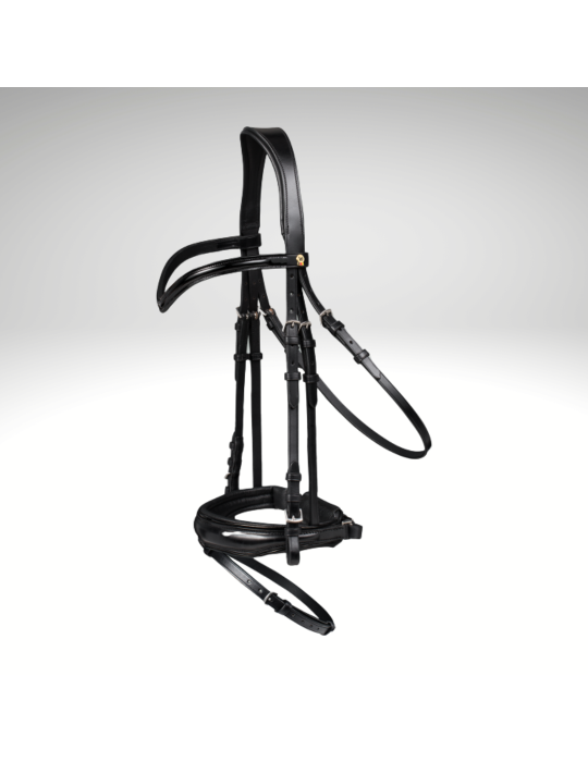 Bridon Blackshine WALDHAUSEN