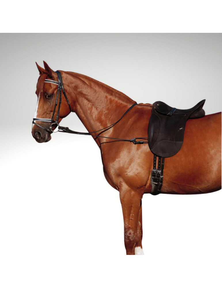 Enrênement élastique réglable