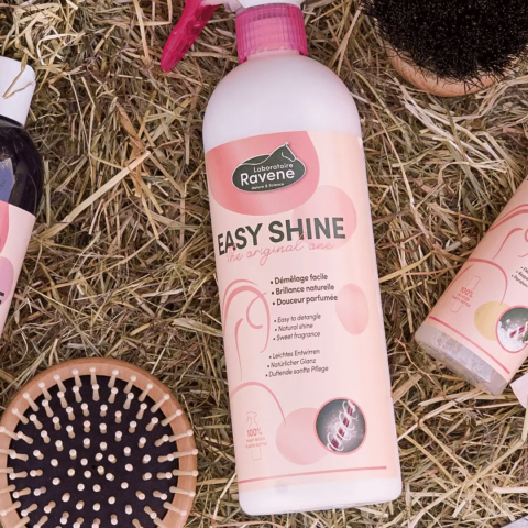 Démêlant Easy Shine - RAVENE