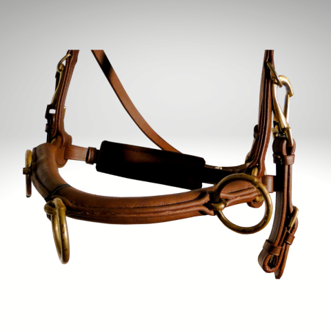 Caveçon portugais SB – Sellerie Baude 2