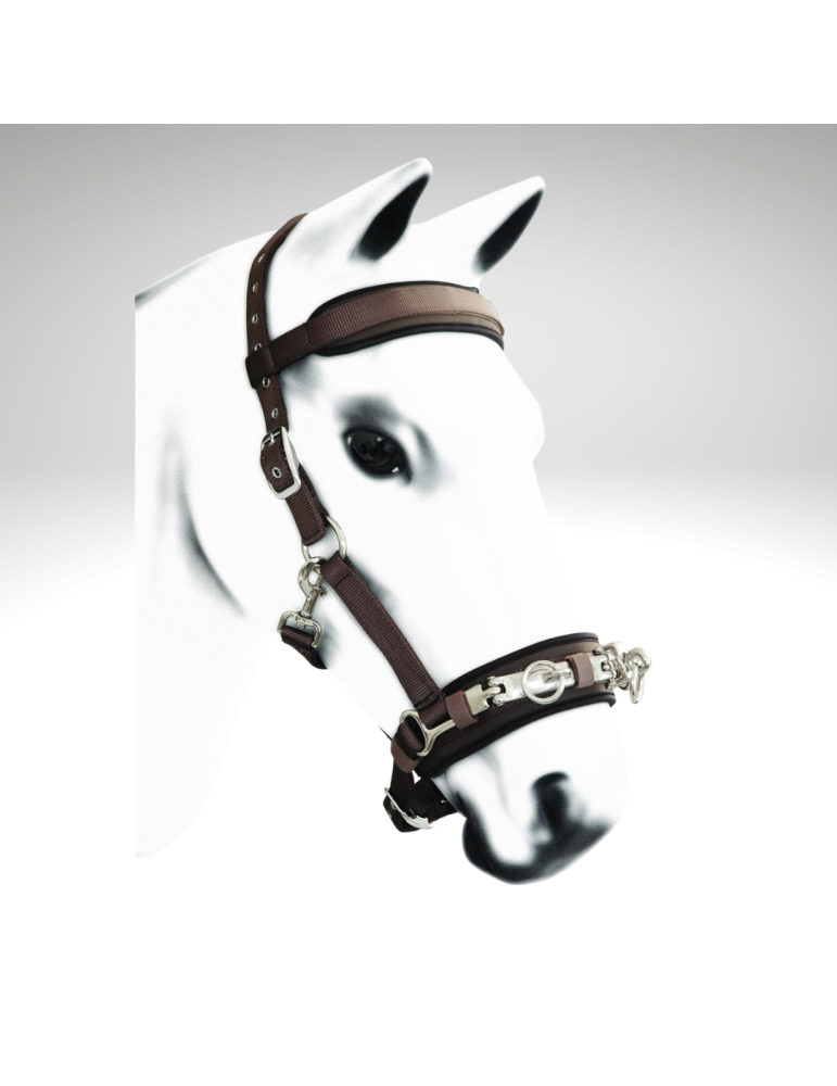 Caveçon en nylon - AMAHORSE