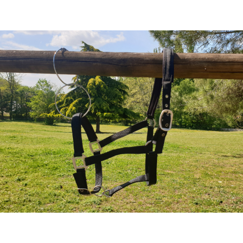 Licol nylon doublé SB 2