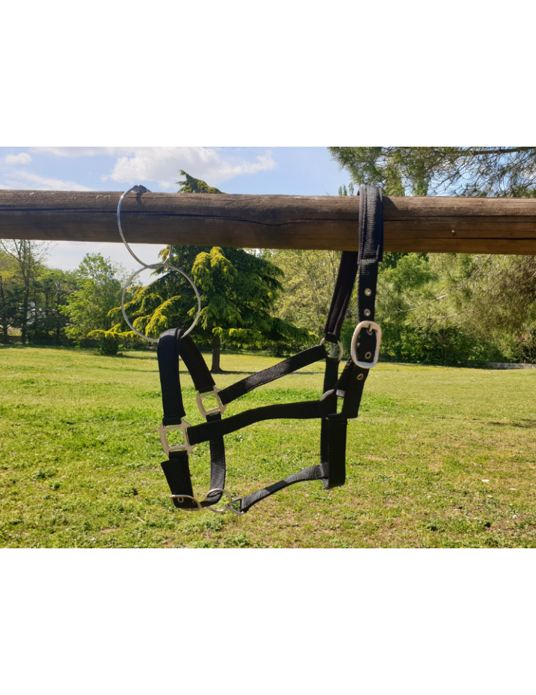 Licol nylon doublé SB