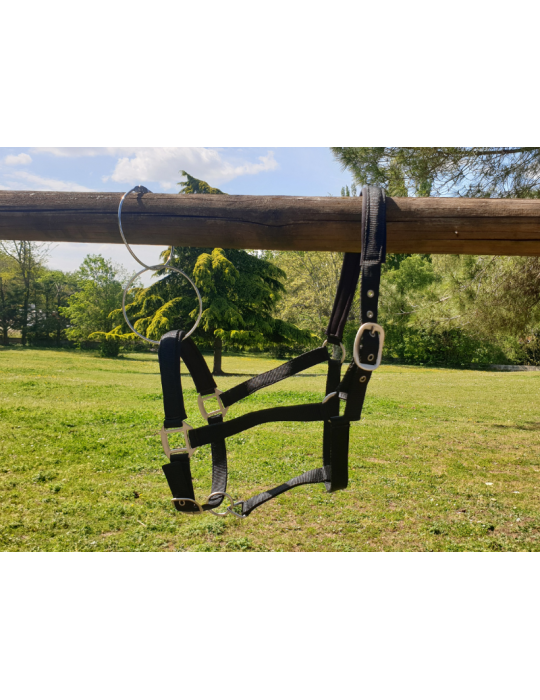 Licol nylon doublé SB