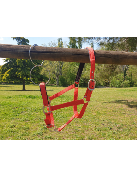 Licol nylon doublé SB