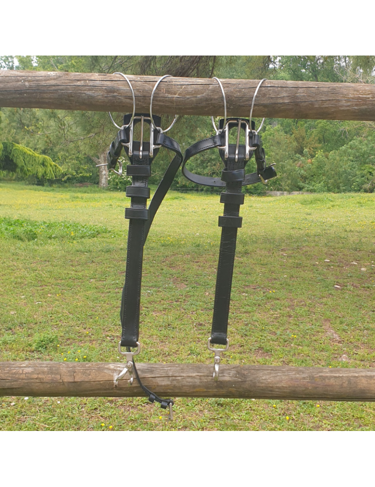 Boucleteaux pour collier en paire