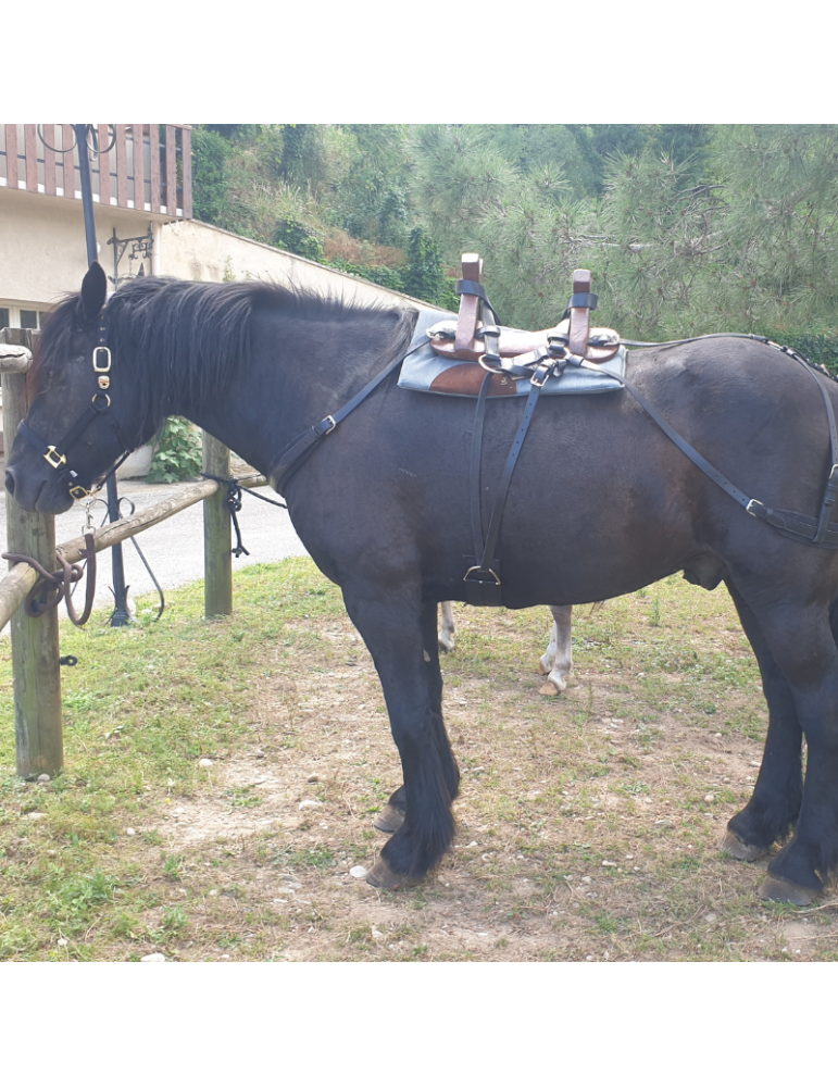 Bât en cuir pour âne