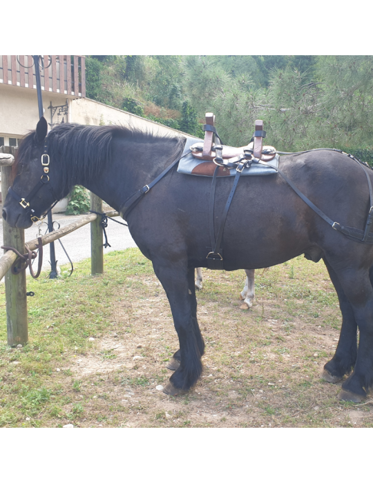 Bât en cuir pour âne