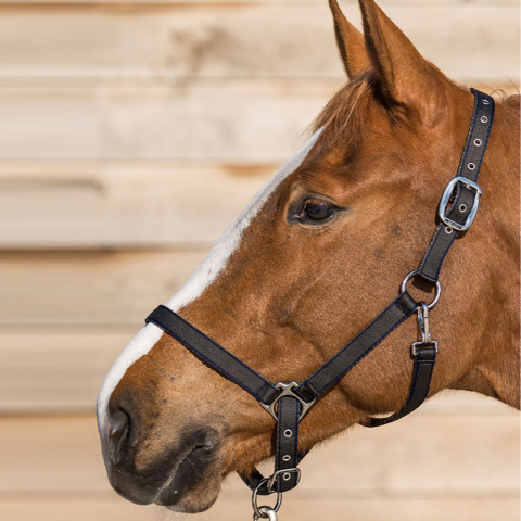 Licol LAMICELL système breakaway 2