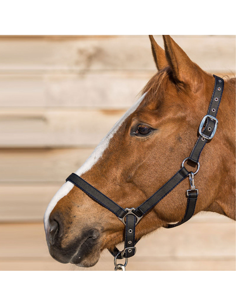 Licol LAMICELL système breakaway