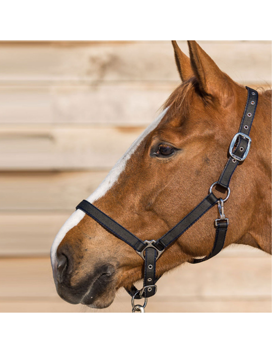 Licol LAMICELL système breakaway