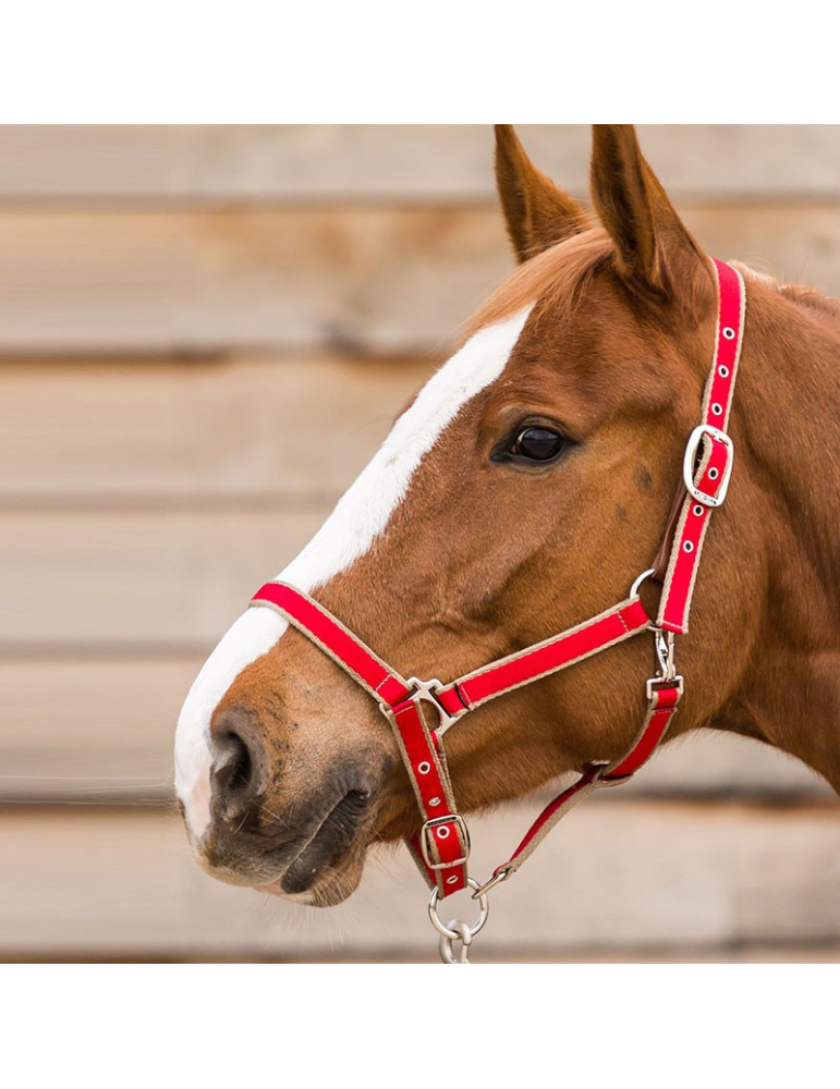 Licol LAMICELL système breakaway