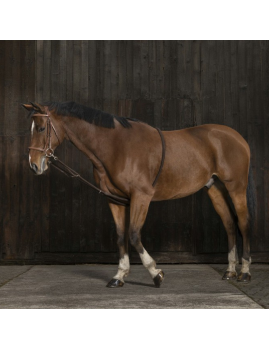 Enrênement extenseur doux NORTON