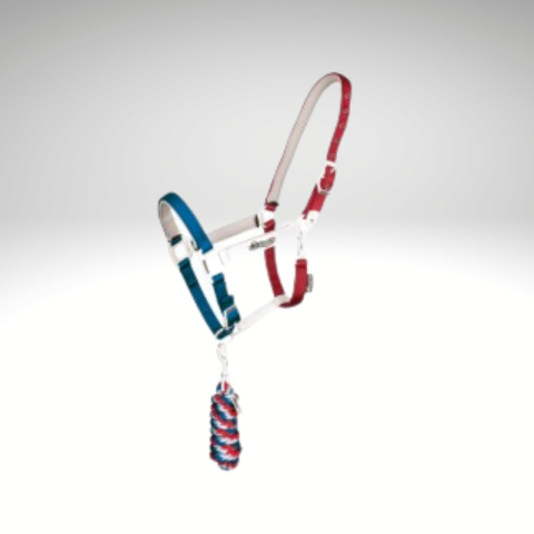 Licol "Flaggy" EQUESTRO 2