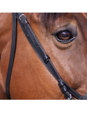 Bridon muserolle française RW