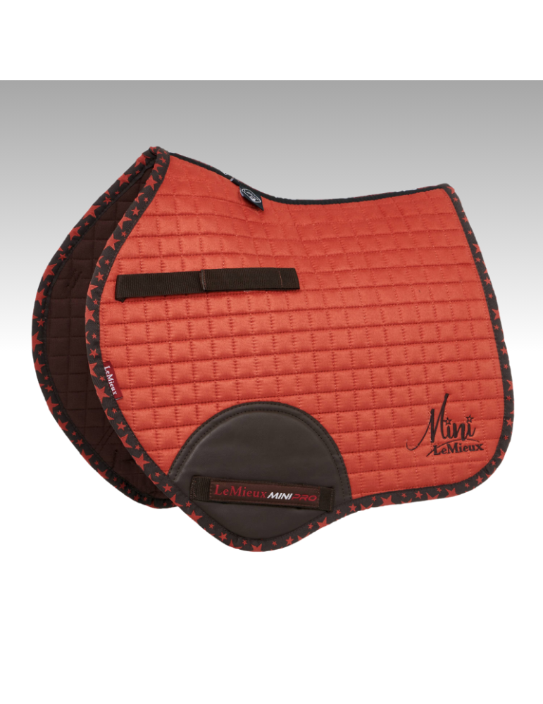 Mini Jump Square Suede LeMieux