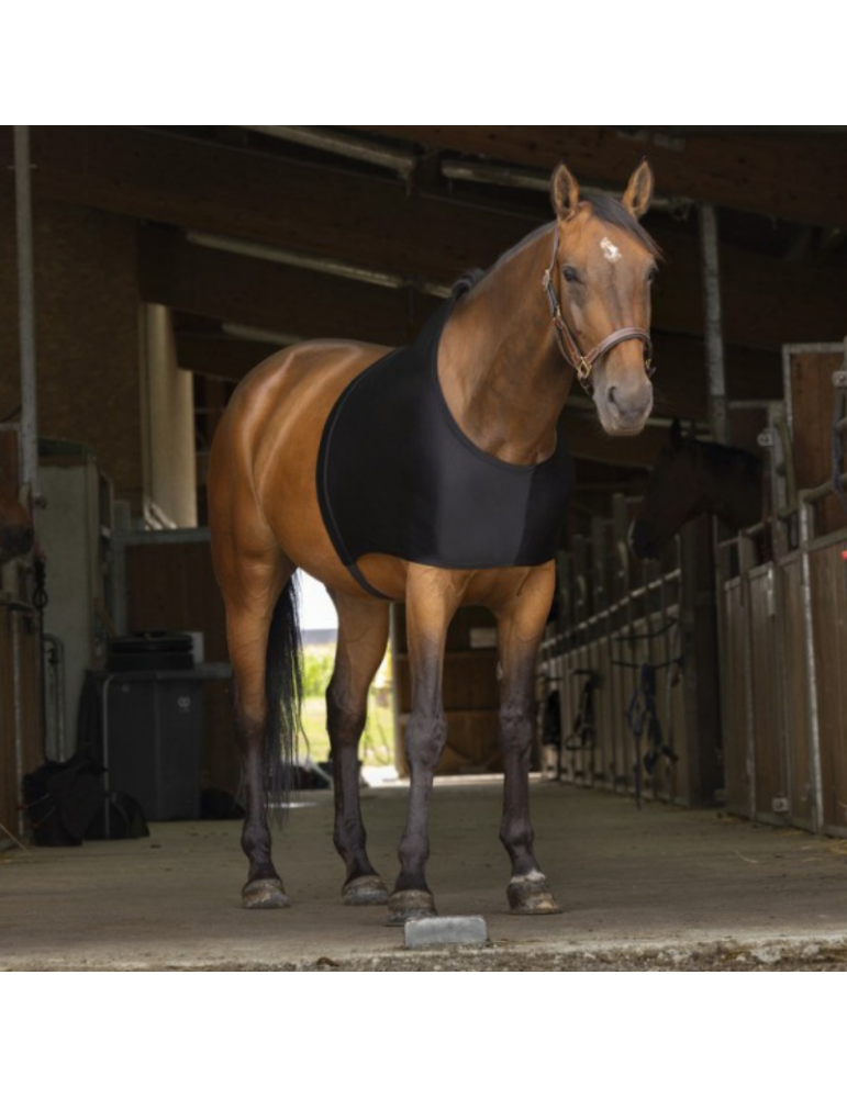 Protection d'épaules - EQUITHEME