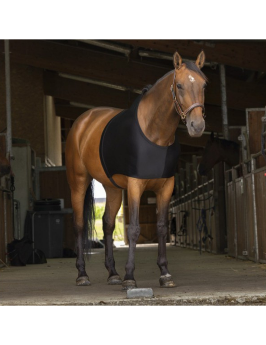 Protection d'épaules - EQUITHEME