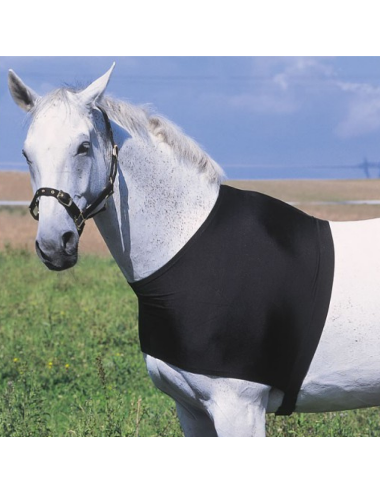 Protection d'épaules - EQUITHEME