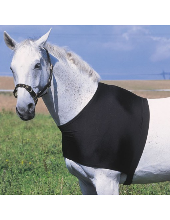 Protection d'épaules - EQUITHEME