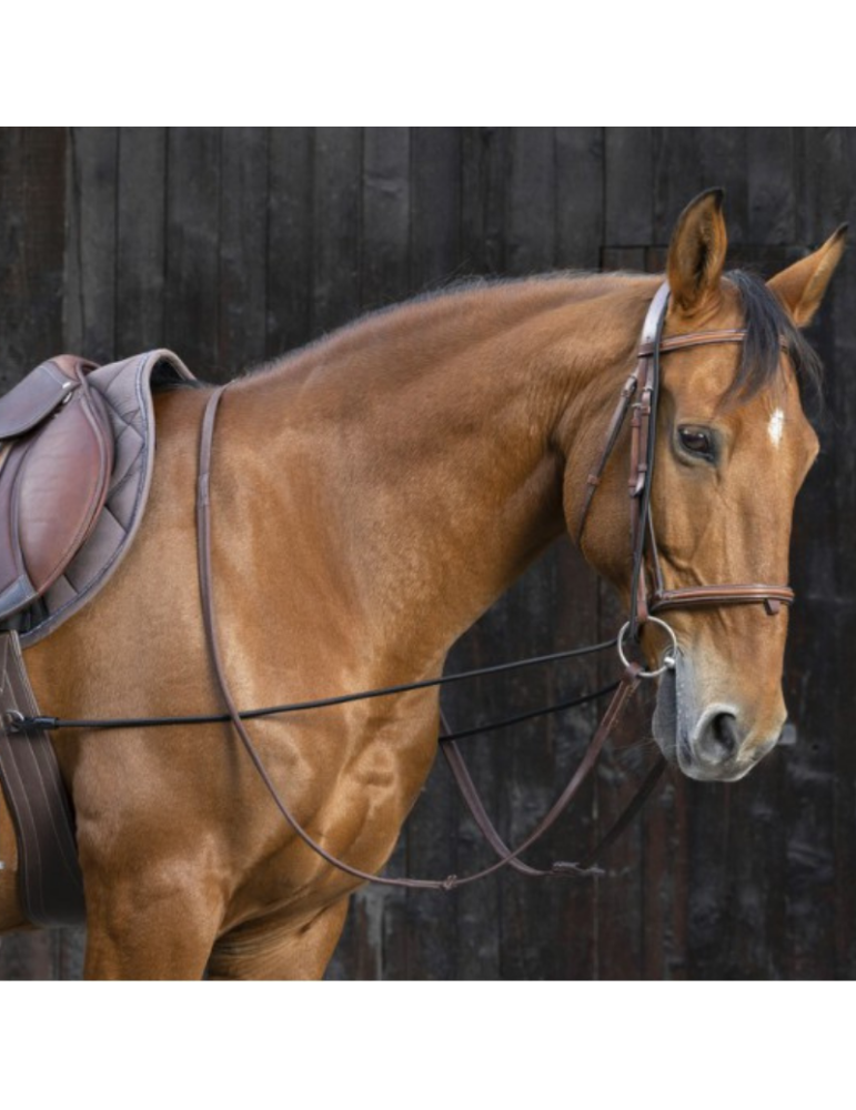 Enrênement long éducatif