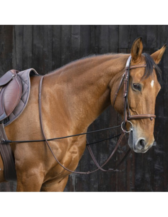 Enrênement long éducatif