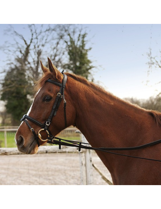 Enrênement long éducatif