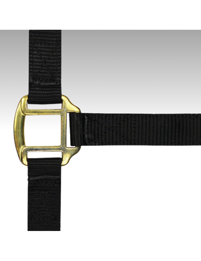 Licol nylon cheval de trait NORTON