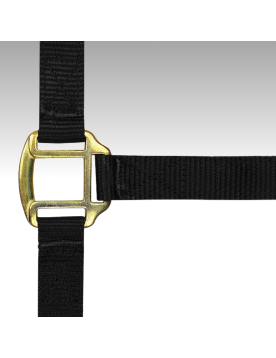 Licol nylon cheval de trait NORTON