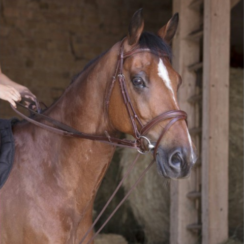 Rênes allemandes en cuir / corde NORTON – Sellerie Baude