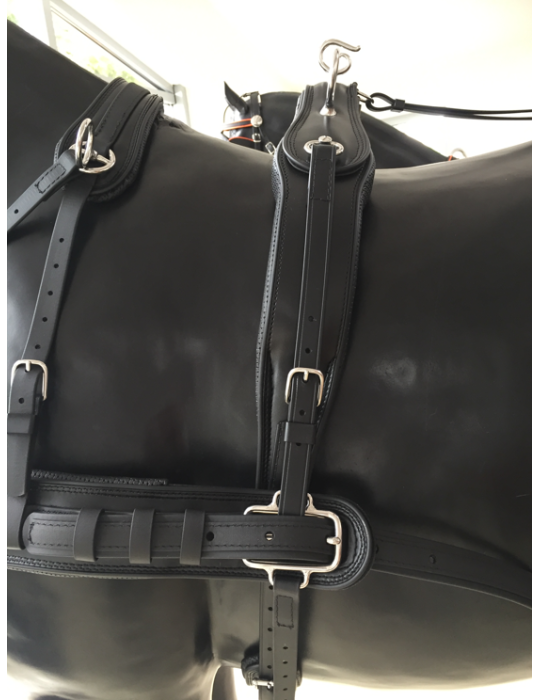 copy of Harnais Lux biothane en simple - SB