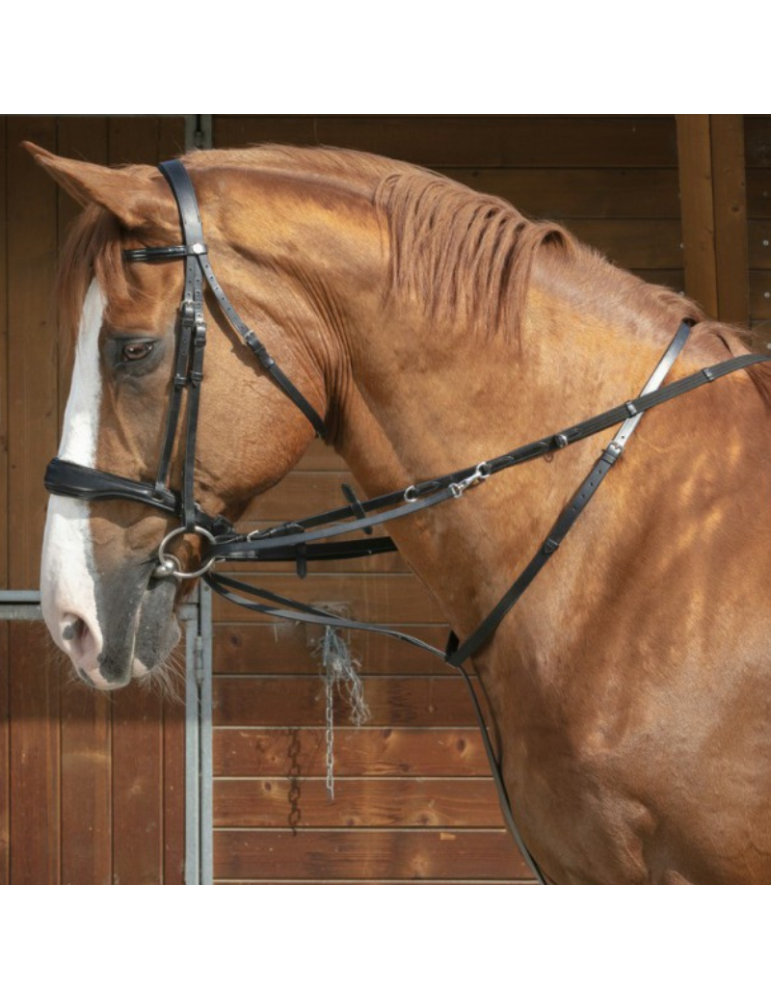 Enrênement " Thiedeman "