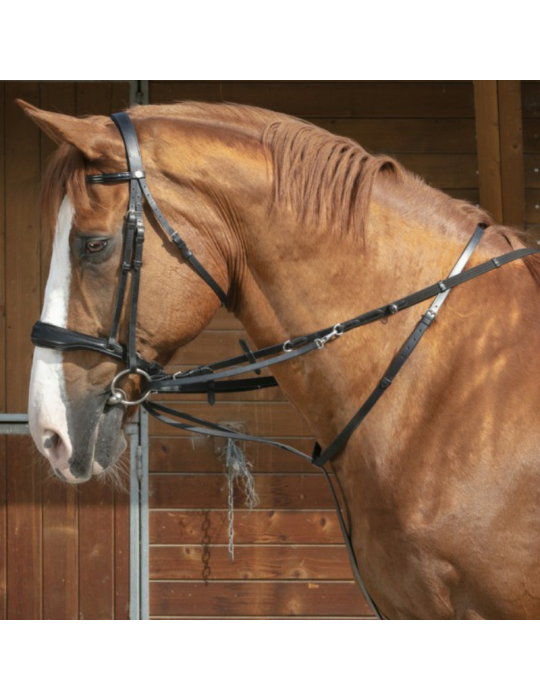 Enrênement " Thiedeman "