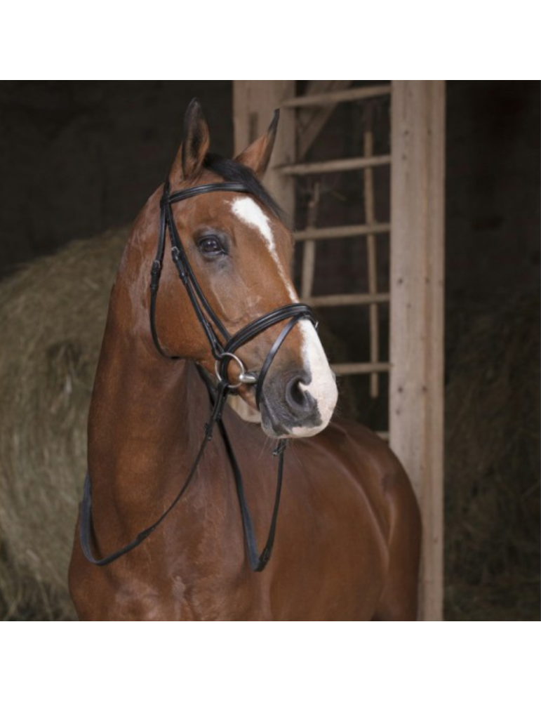 Rênes caoutchouc 13mm NORTON PRO