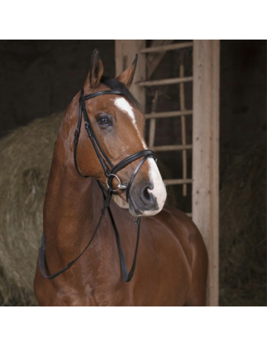 Rênes caoutchouc 13mm NORTON PRO