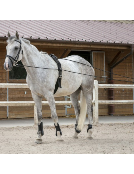 Longues rênes RIDING WORLD