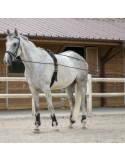 Longues rênes RIDING WORLD